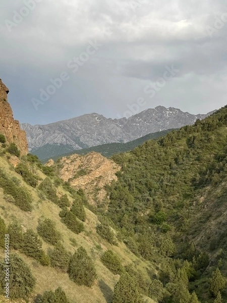 Obraz view from the mountain