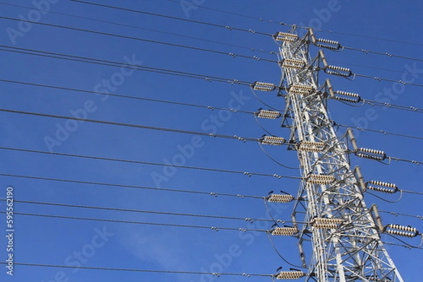 Obraz 青空背景の送電線