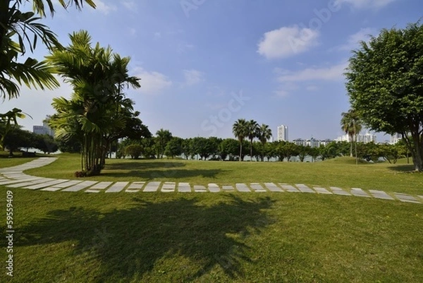 Obraz The park scenery