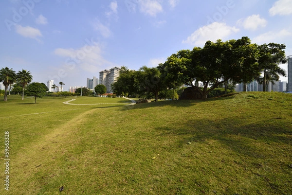 Obraz The park scenery