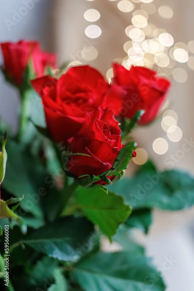Fototapeta Close-up of beautiful red roses with water drops and blurred background with white, yellow bokeh. Shallow depth of field. Copy space