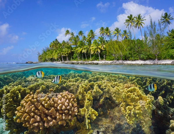 Obraz Tropical coastline with a coral reef underwater, split level view over and under water surface, Pacific ocean, French Polynesia, Huahine island