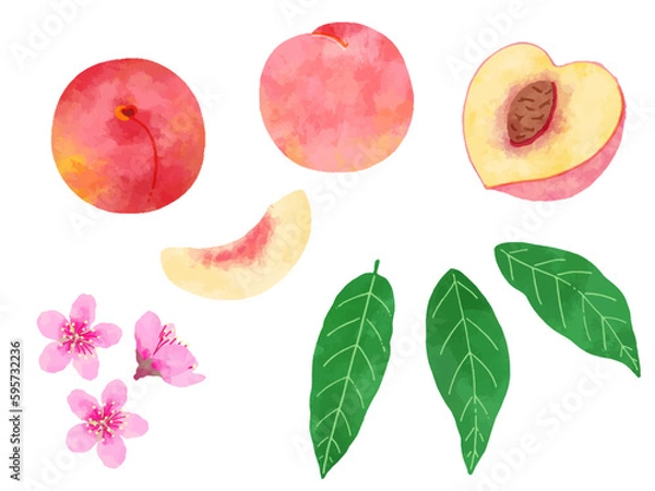 Obraz レトロな手描きの桃、ピーチのイラスト素材セット