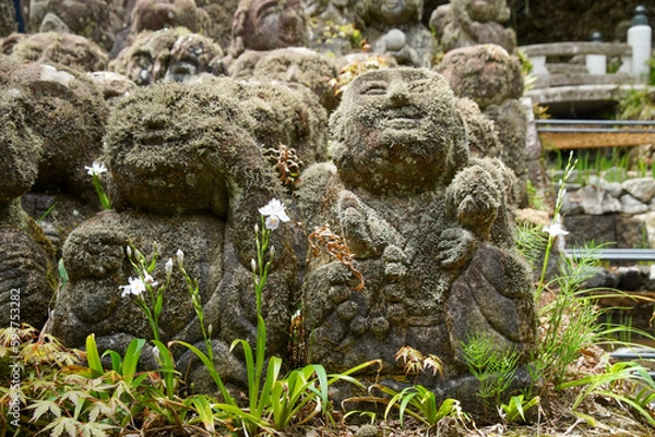 Obraz 石仏とシャガ