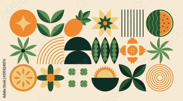 Fototapeta Geometric natural pattern. Abstract fruit plant leaf simple shape, minimal botanic eco agriculture concept. Vector banner