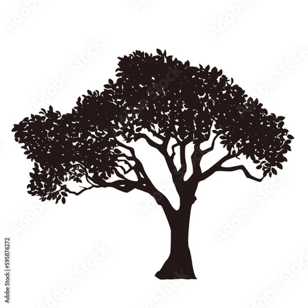 Obraz flower or tree silhouette icon.