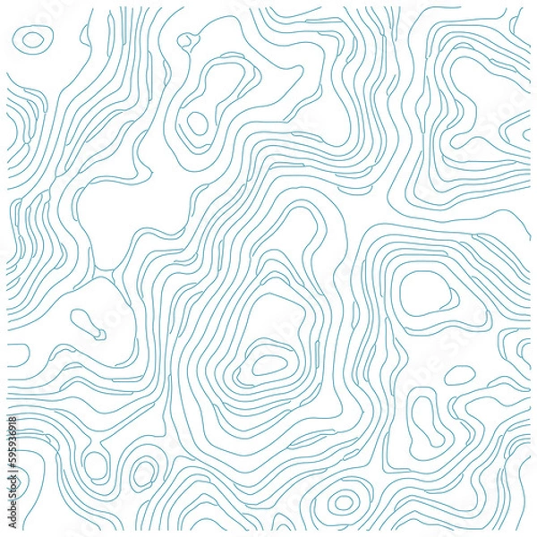 Fototapeta Topographic Line Pattern