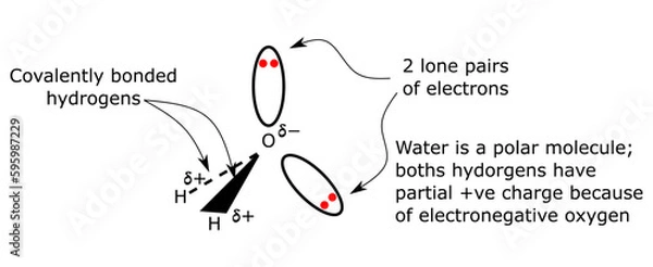 Fototapeta chemical structure of water molecule h2o tetrahedral tetrahedron bend structure bond angle lone pair electrons oxygen hydrogen