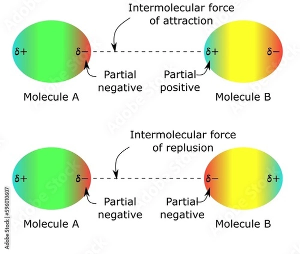 Fototapeta intermolecular force partial positive negative molecules hydrogen bonding interaction chemical structure color diagram physical chemistry physics