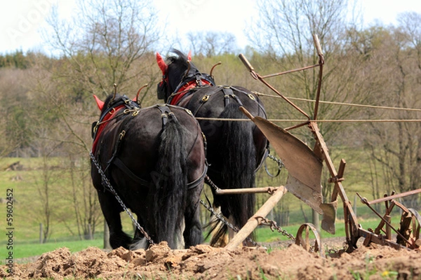 Obraz old times field work