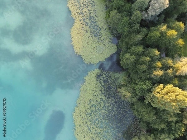 Fototapeta defaultAbove