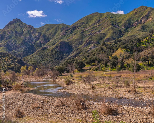 Fototapeta Scenic view of a creek in Malibu Creek State Park in Calabasas, CA.