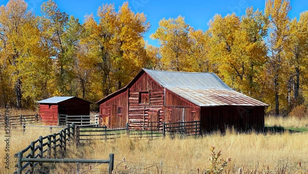 Obraz Red barn in fall