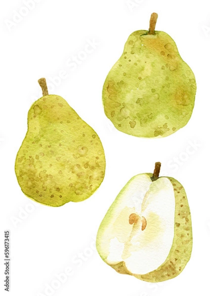 Obraz ラ・フランス　洋梨　手描き水彩イラスト