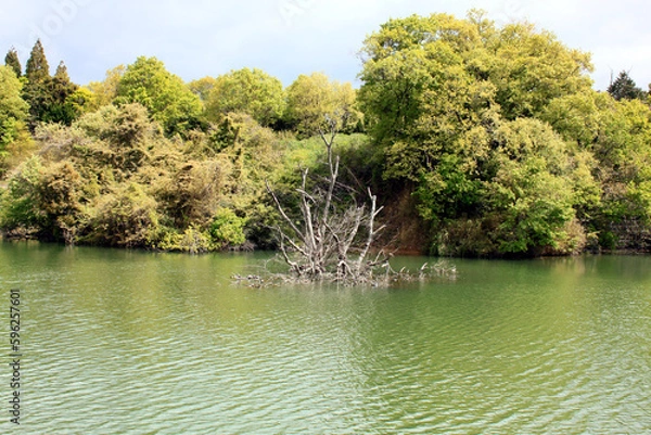 Fototapeta ストラクチャー