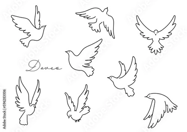 Obraz 躍動的に羽ばたく白い鳩のシンプルなベクター線イラストセット