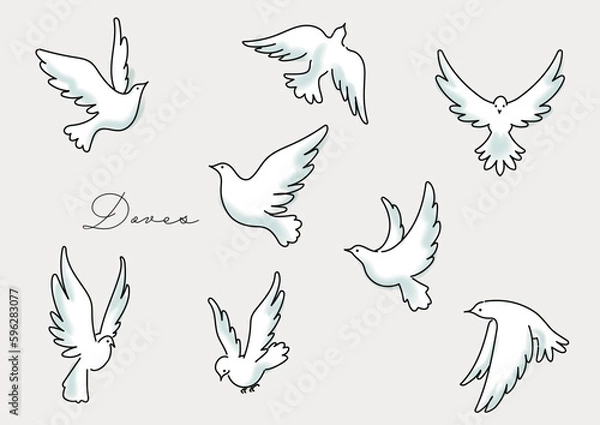 Obraz 躍動的に羽ばたく白い鳩のシンプルな水彩テクスチャーイラストセット