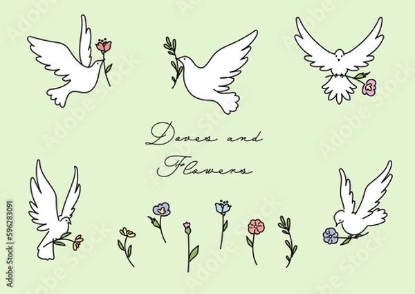 Obraz かわいい花を届けに羽ばたく白い鳩のシンプルなベクター線イラスト