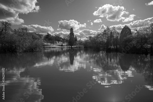 Fototapeta View over lake with reflection of bare trees and clouds in monochrome, Berkshire, England, United Kingdom, Europe