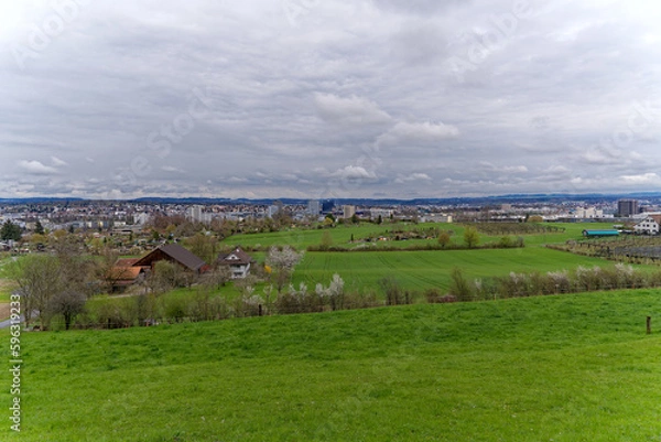 Fototapeta Beautiful agriculture landscape with trees in bloom at City of Zürich district Schwamendingen on a cloudy spring day. Photo taken April 7th, 2023, Zurich, Switzerland.