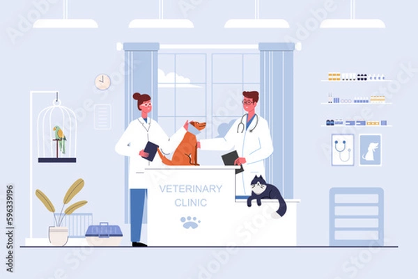 Fototapeta Veterinarian and doctor with dog and cat on counter in vet clinic. Vector illustration flat cartoon