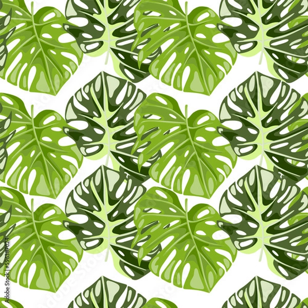 Fototapeta Monstera leaves seamless pattern. Exotic jungle plants endless wallpaper. Leaf background. Hawaiian rainforest floral backdrop.