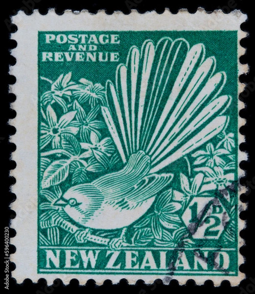 Obraz briefmarke stamp vintage retro alt old green grün bird vogel neuseeland new zealand gestempelt frankiert cancel used gebraucht papier paper post letter mail brief reveue