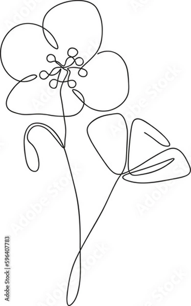 Fototapeta One line continuous flower, single line drawing art, flower art, botanical flower isolated, simple art design, abstract line, vector