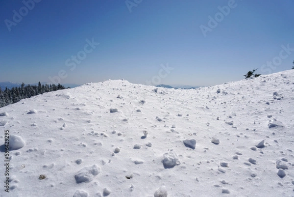 Obraz skiing in the snow
