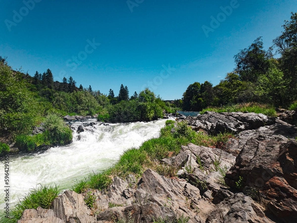 Obraz river in the mountains