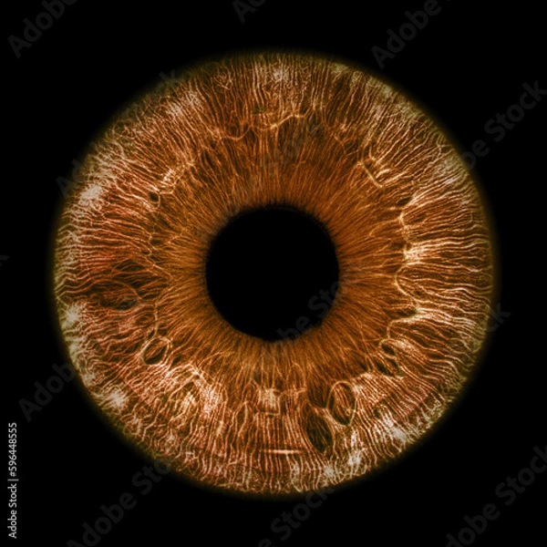 Fototapeta Brown eye iris - human eye