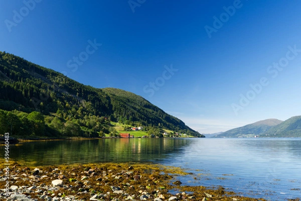 Fototapeta Landschaft am Eidsfjord in Norwegen mit Steinen und Algen am Ufer