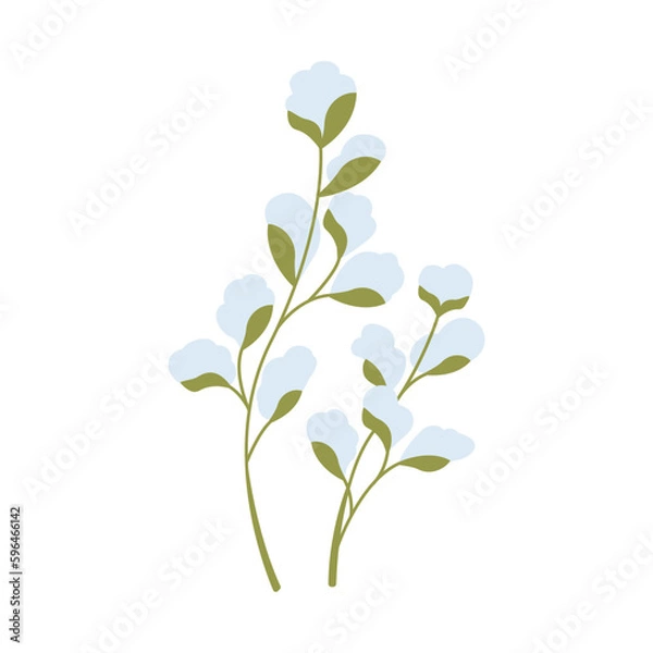 Fototapeta Wild flower vector flat illustration. Decorative floral design elements