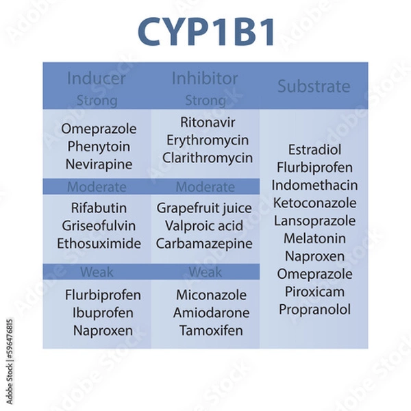 Fototapeta Cytochrome CYP1B1 table of strong, moderate and weak inhibitors, inducers and substrates with examples.      