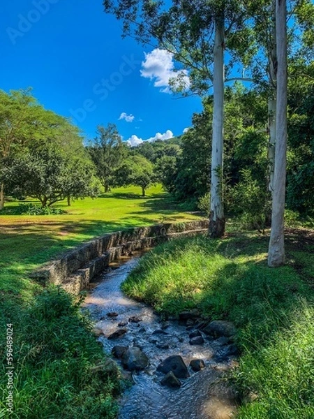 Obraz Picturesque Stream