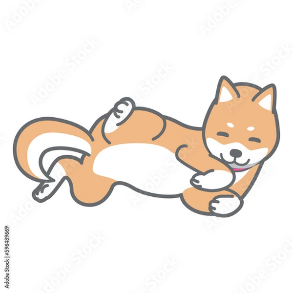 Fototapeta へそ天する柴犬のベクターイラスト