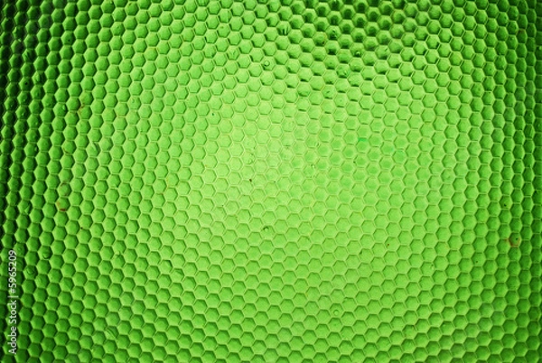 Obraz green background