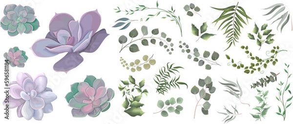 Fototapeta Mix of herbs and plants vector big collection. Juicy eucalyptus, succulent, green plants and leaves. All elements are isolated 