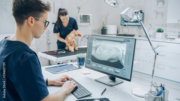 Fototapeta Specjalista ds. Kliniki weterynaryjnej pracujący na komputerze stacjonarnym, używając oprogramowania do zbadania skanowania rentgenowskiego psa w poszukiwaniu potencjalnego złamania kości. Kobieta weterynarzowa idąca w tle
