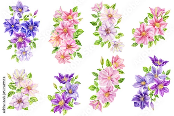 Fototapeta Clematis flowers, bouquet on isolated background, watercolor botanical painting. Flora for Wallpaper, Print, Fabric, 