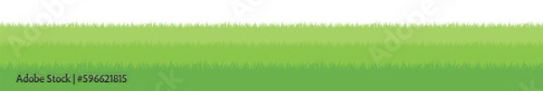 Fototapeta 奥行きのある草のライン