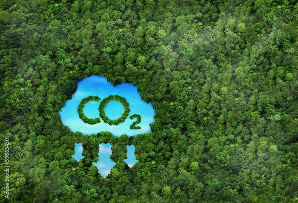 Fototapeta Concept depicting the issue of carbon dioxide emissions and its impact on nature in the form of a pond in the shape of a co2 symbol located in a lush forest.