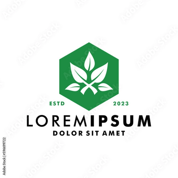 Obraz Abstract green leaf logo icon vector design. Landscape design, garden, Plant, nature and ecology vector logo.