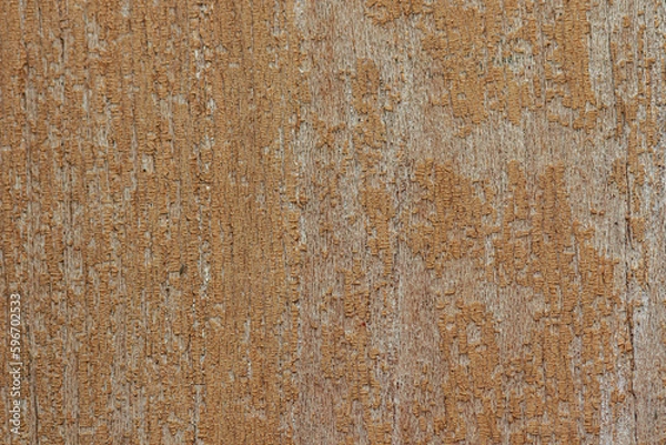 Obraz Background of bark in natural light