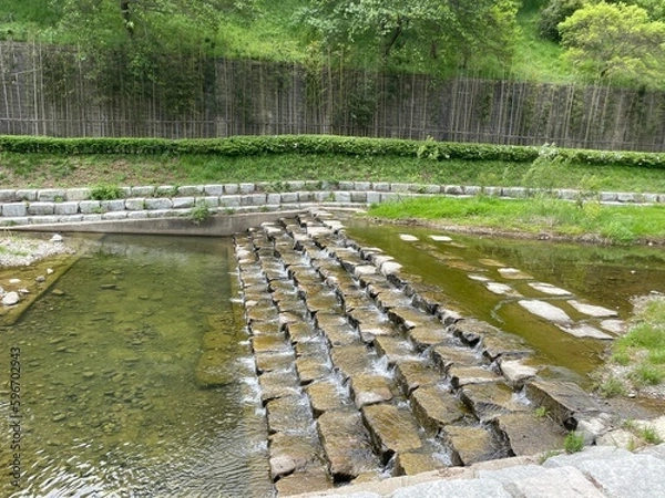 Fototapeta 한국 김해시 율하천 산책로에서 촬영한 사진