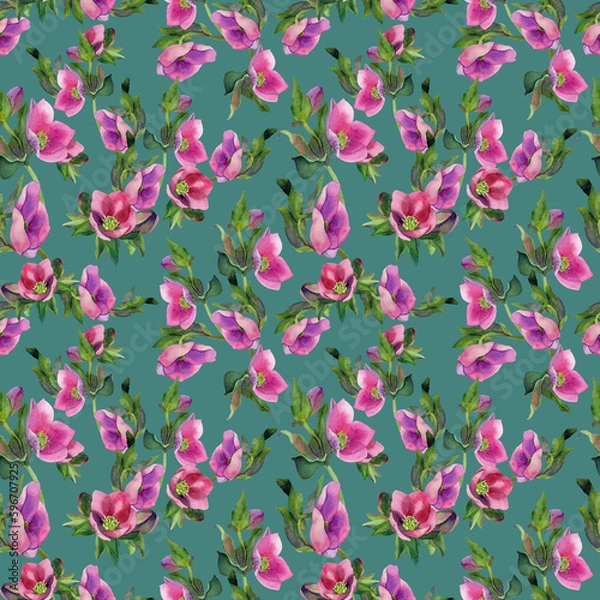 Fototapeta Watercolor hand drawn hellebore flower and anemone seamless pattern. Spring pink blossoms on cyan background. Botanical design for textile print, decore, packaging, wrapping paper. Floral ornament.