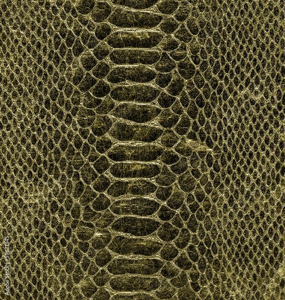 Obraz  natural snake skin closeup