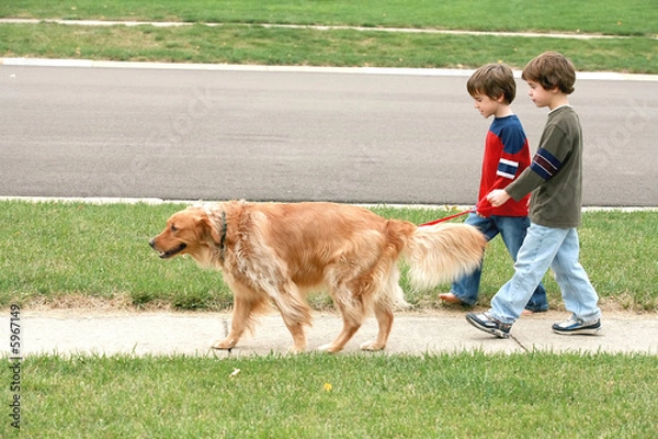Obraz Boys Walking the dog
