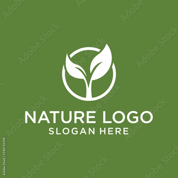 Fototapeta natural product logo design vector, Leaf icon and company logo