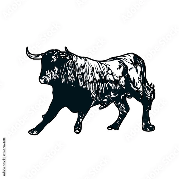 Fototapeta black and white sketch of a bull with transparent background